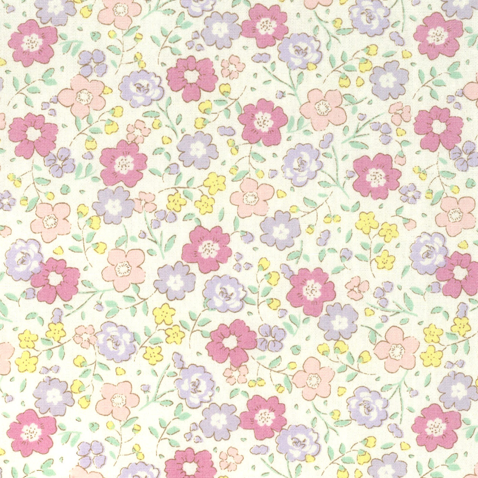 kts6746 | コットンこばやし