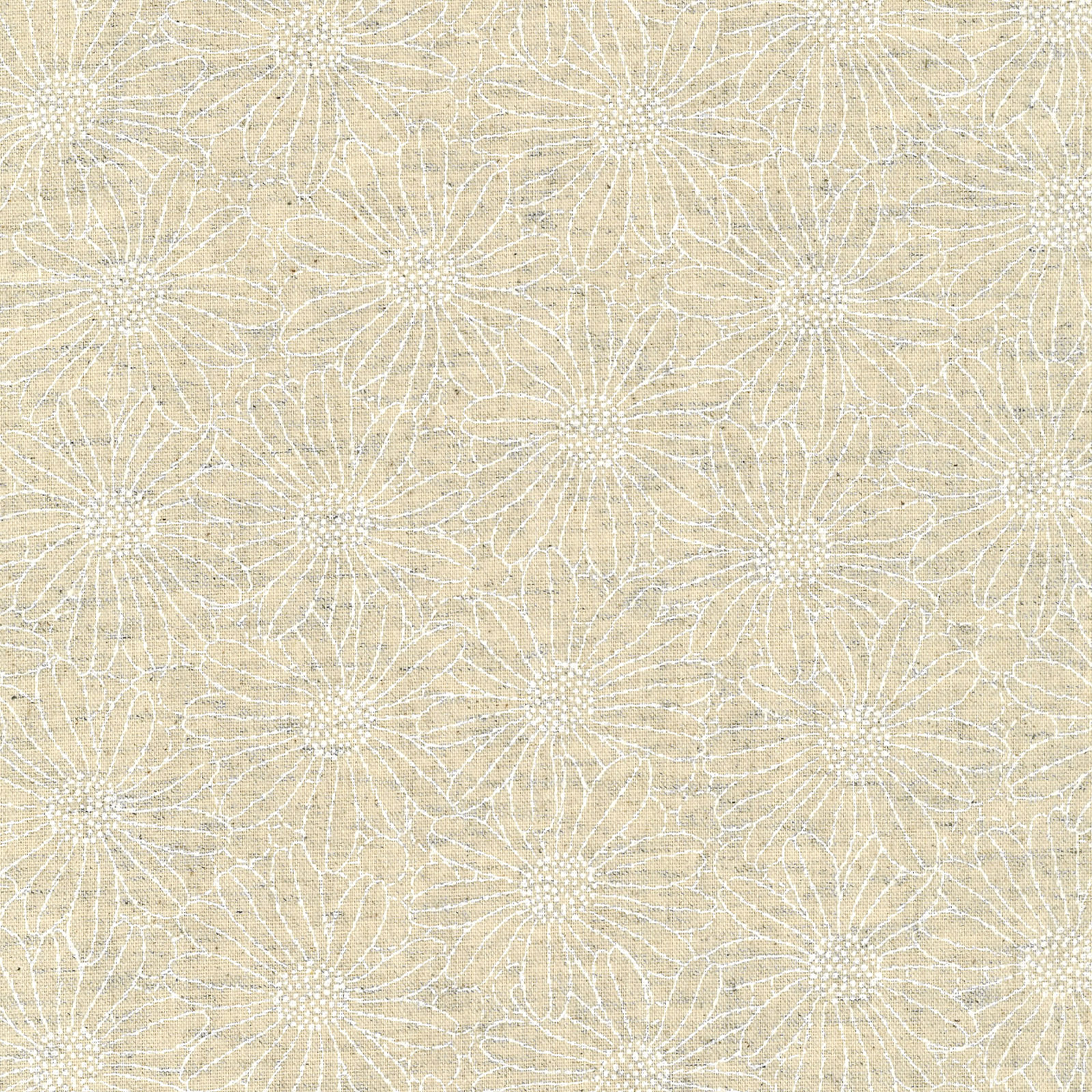 kts6957 | コットンこばやし